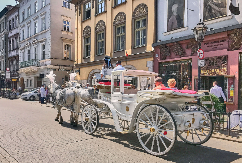 Horse-carriages are only there for sightseeing purposes; Things to do in Krakow