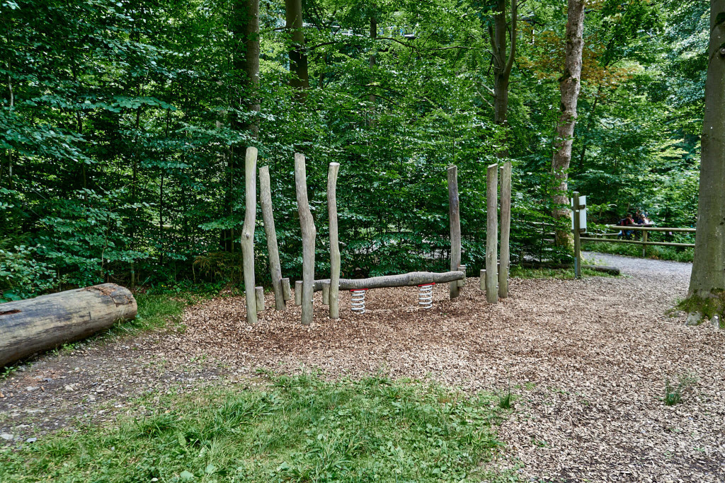 Trimm dich Pfad (fitness trail); Things to Do with Kids in Germany