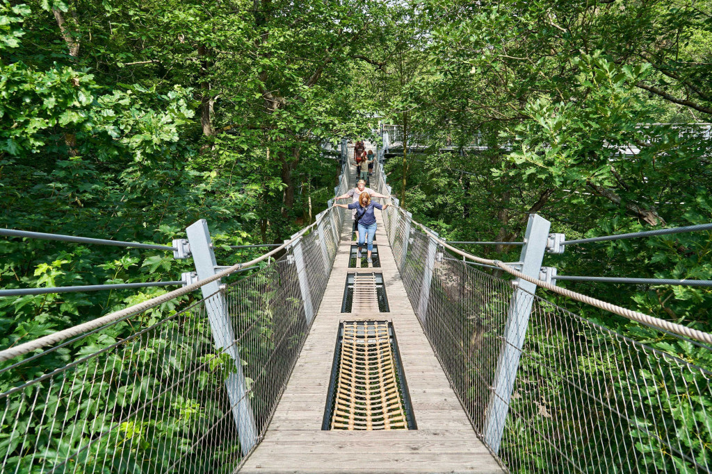 Bad Harzburg Treetop World; Things to Do with Kids in Germany