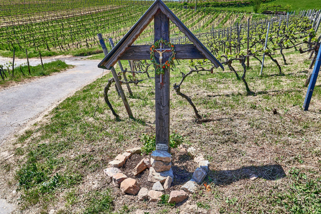 Road sign in vineyard of Rüdesheim, Germany