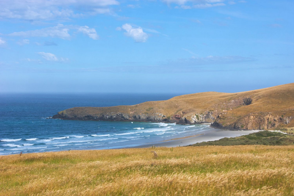 Headland of the Otago Peninsula