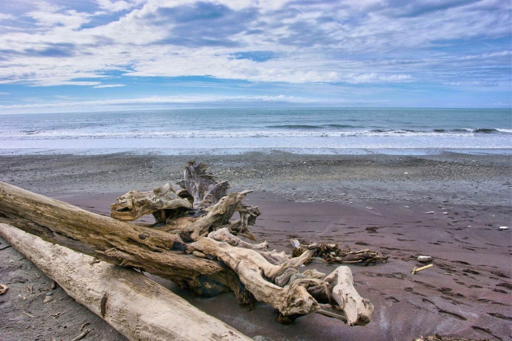 The beaches of Bruce Bay, West Coast of South Island