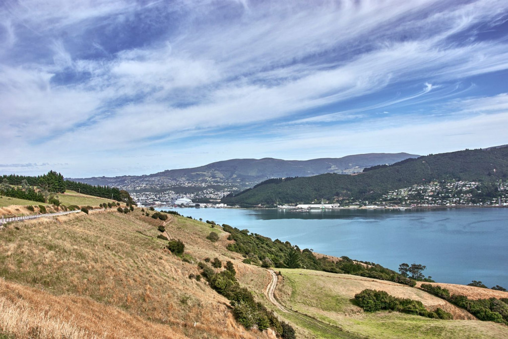 Otago Peninsula roadside view