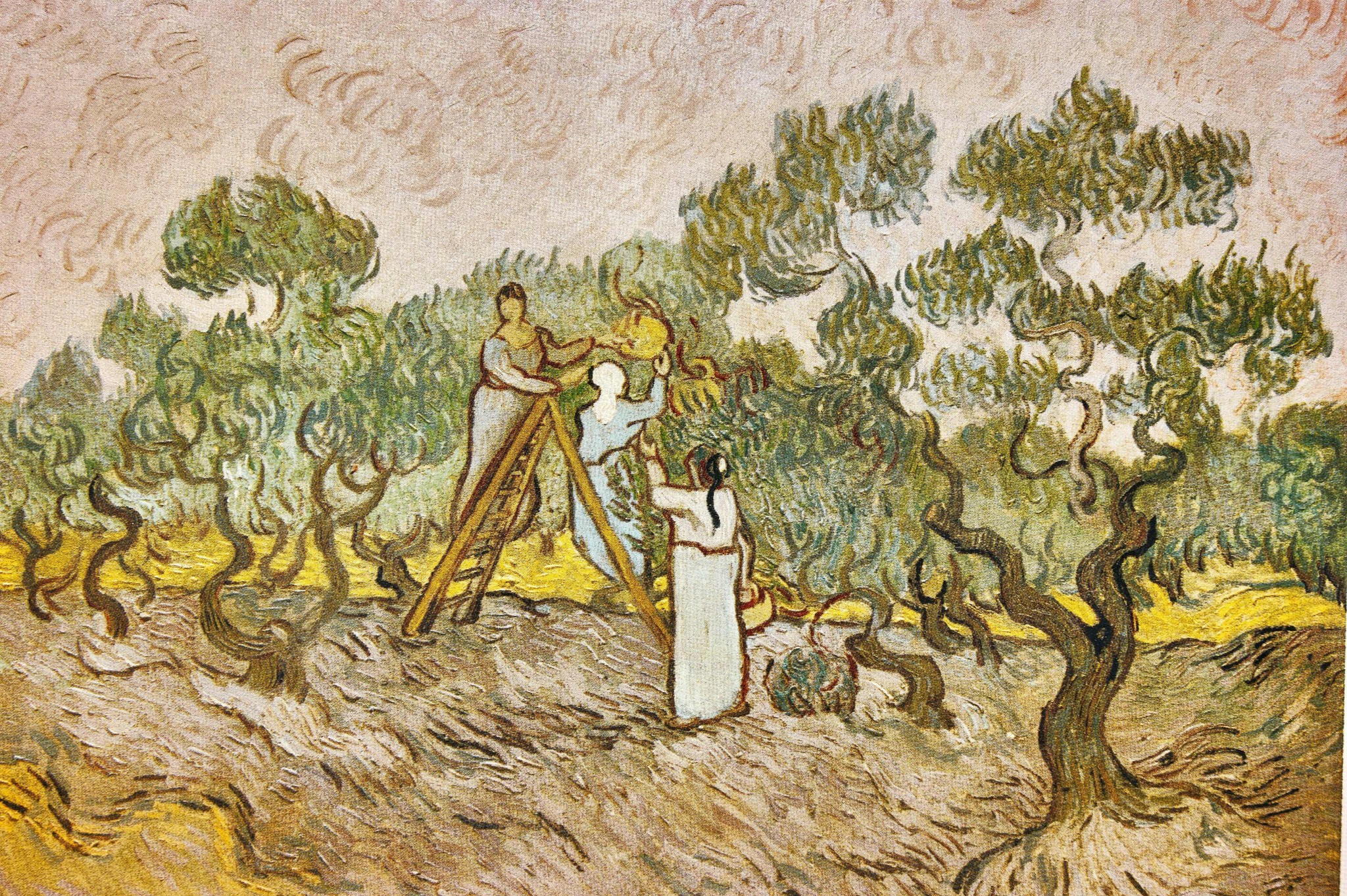 Follow the Remarkable Van Gogh Trail in SaintRémydeProvence My