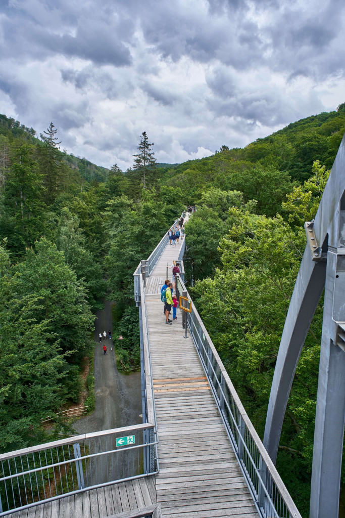 Treetop Trail in Bad Harzburg, Germany's Harz Mountains