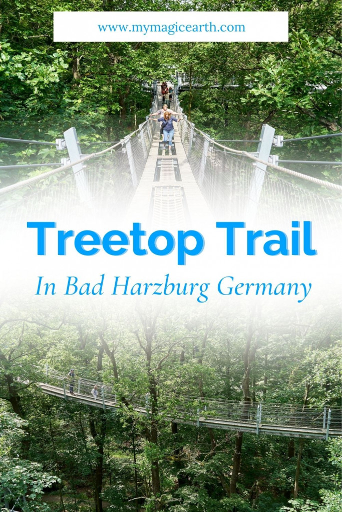 Epic Excursion in East Germany: Treetop Walking in Bad Harzburg
