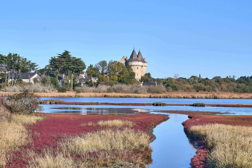 View of the Suscinio Castle anf the colourful lagoon, Brittany France