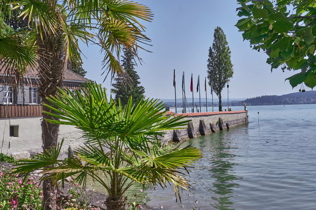 Lake view from Mainau; Lake Constance Adventure