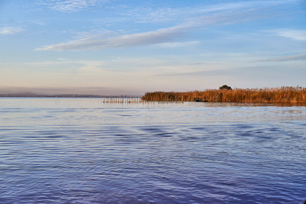 lake view in the Albufera National Park, Valencia Spain